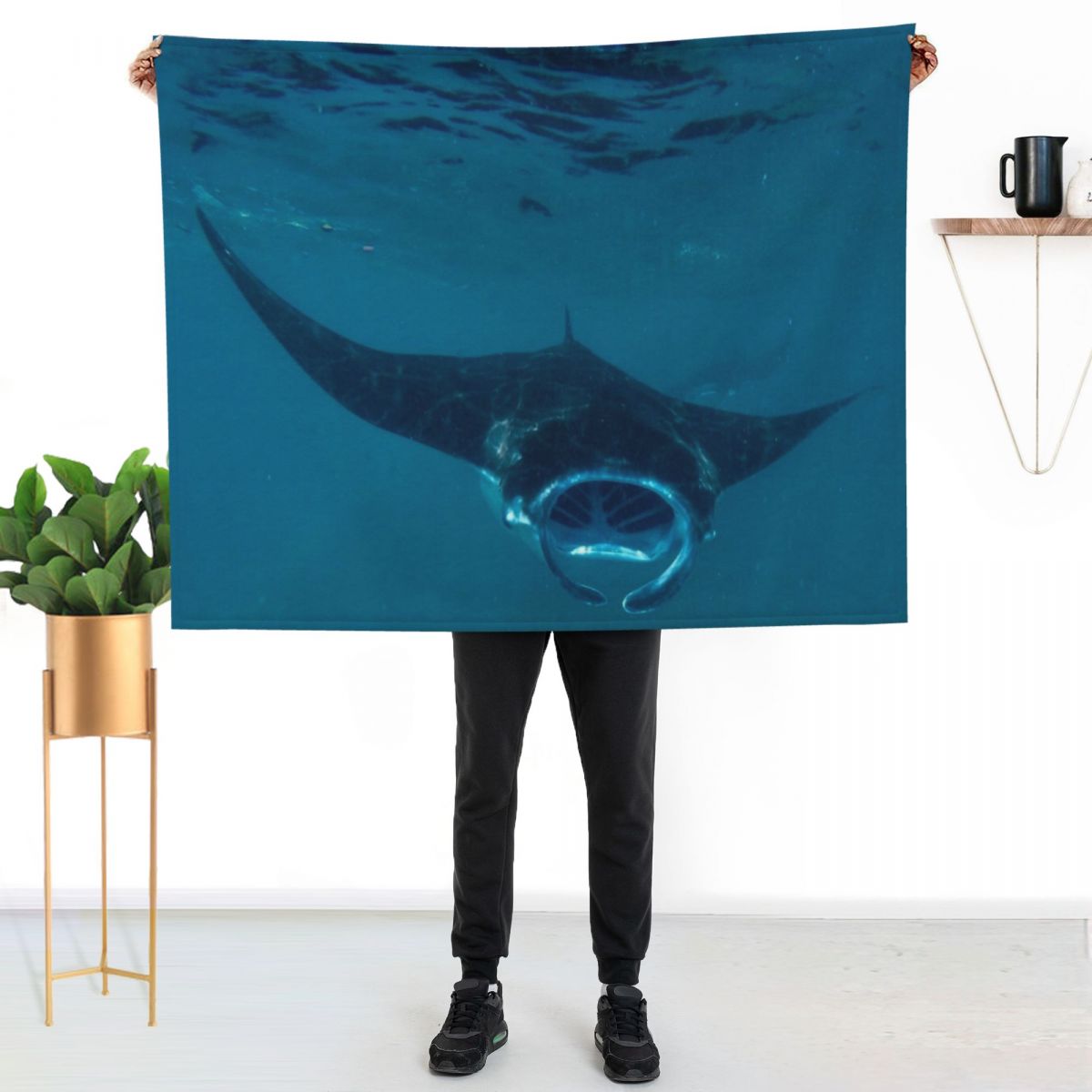 Curious Manta Ray At Crystal B - 3D Printing Bali review and price